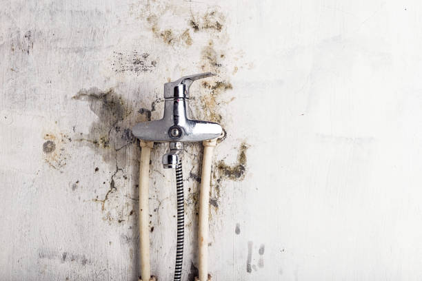 Best HVAC Mold Remediation in Van Vleck, TX