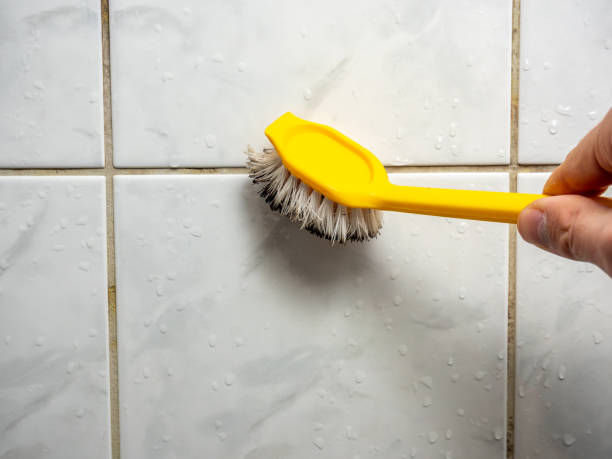 Best Preventive Mold Services in Van Vleck, TX