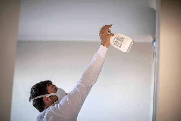 Best Residential Mold Remediation in Van Vleck, TX