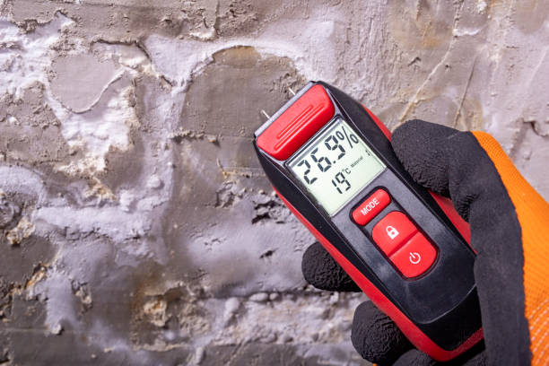 Best Bathroom Mold Remediation in Van Vleck, TX