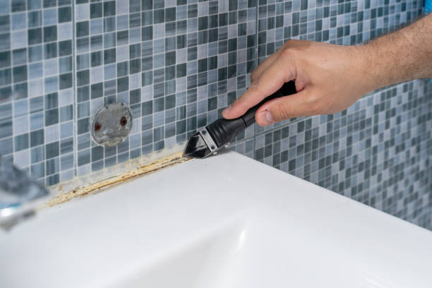 Best Health and Safety Mold Remediation in Van Vleck, TX