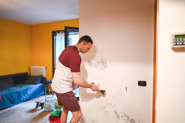 Reliable Van Vleck, TX Mold Remediation Solutions